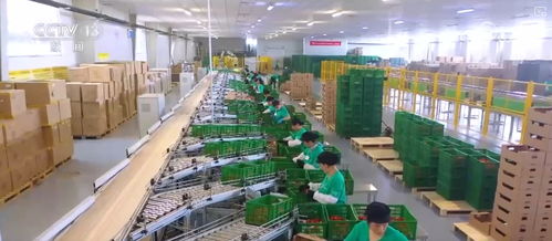 100億 10億 8.7萬億 鄉(xiāng)村特色產業(yè)領域拓寬 發(fā)展韌性強